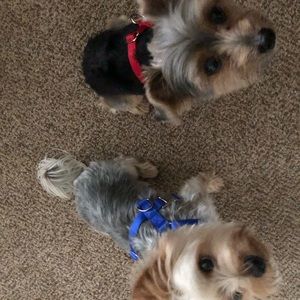 Meet your Posher, Michelle